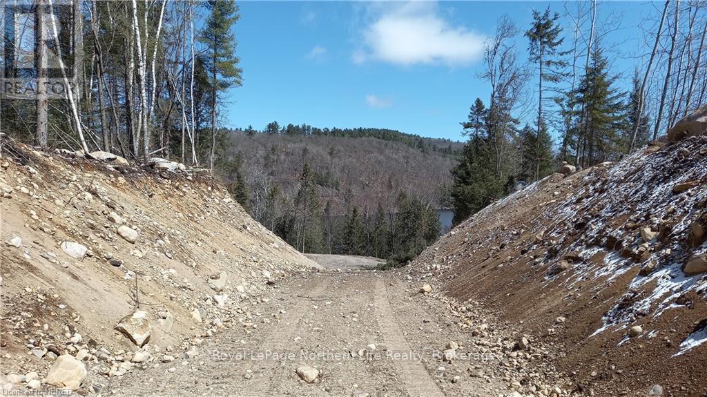 1251 Snake Creek Road Property Photo 4