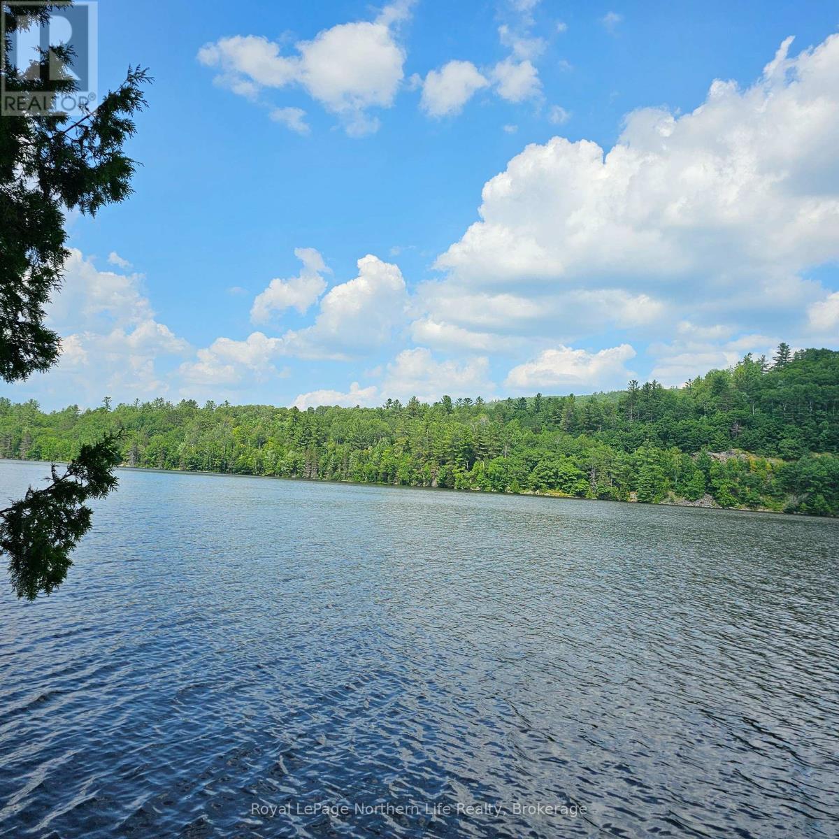 1251 Snake Creek Road Property Photo 4