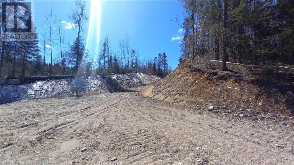 1251 Snake Creek Road Property Photo 5