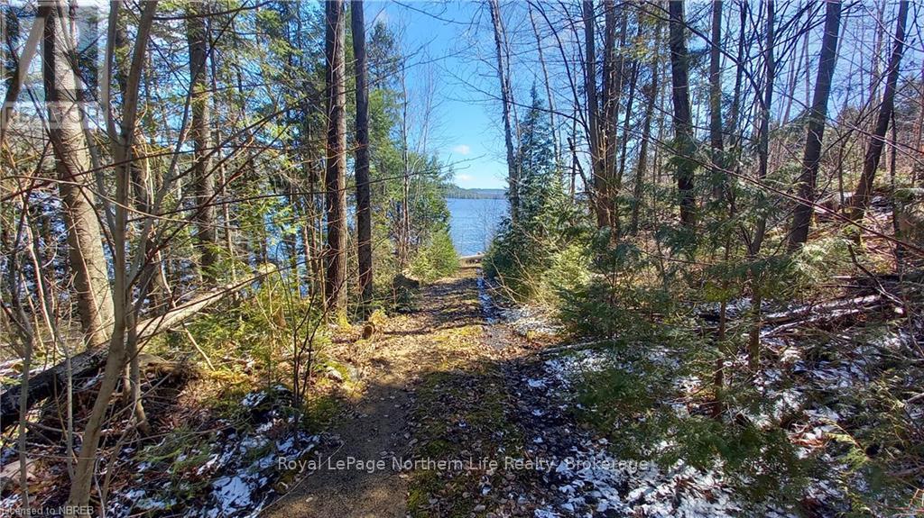 1251 Snake Creek Road Property Photo 6