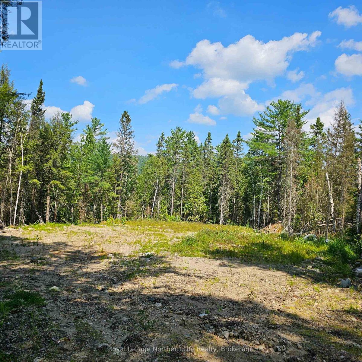 1251 Snake Creek Road Property Photo 7