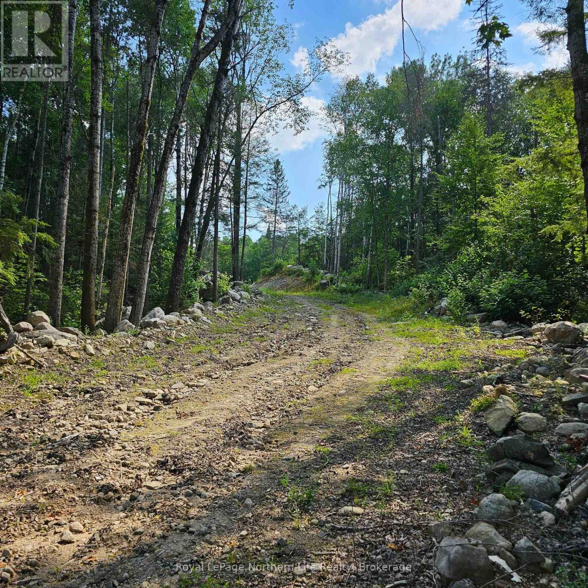 1251 Snake Creek Road Property Photo 8
