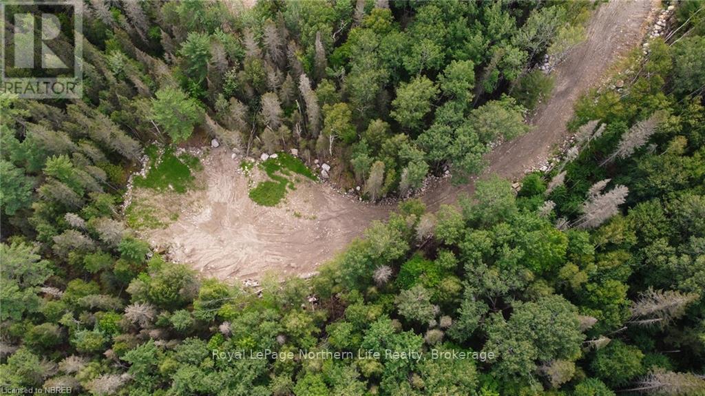 1251 Snake Creek Road Property Photo 11
