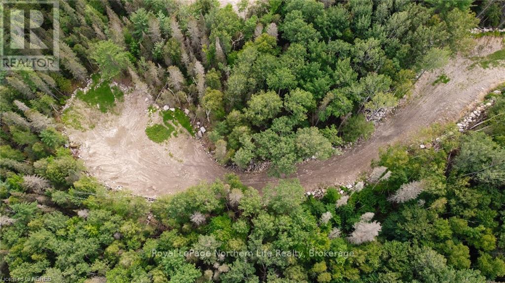 1251 Snake Creek Road Property Photo 12