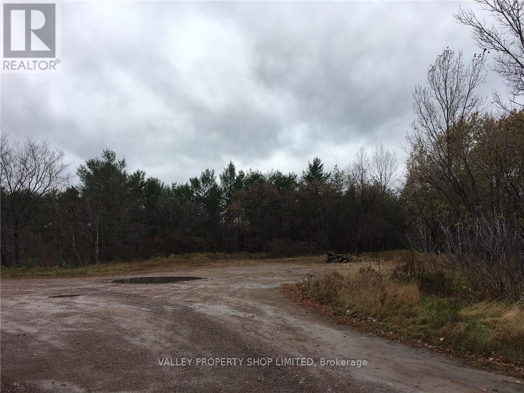 3532 Petawawa Boulevard Property Photo 7