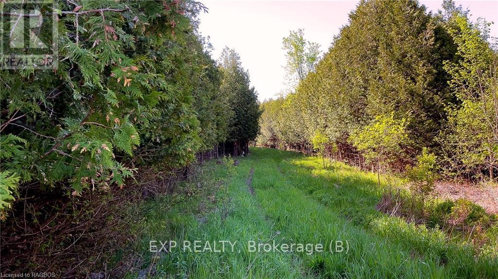 557329 4th Concession S Property Photo 7