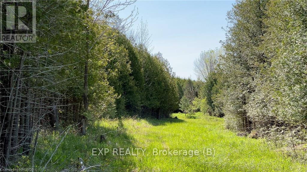 557329 4th Concession S Property Photo 10