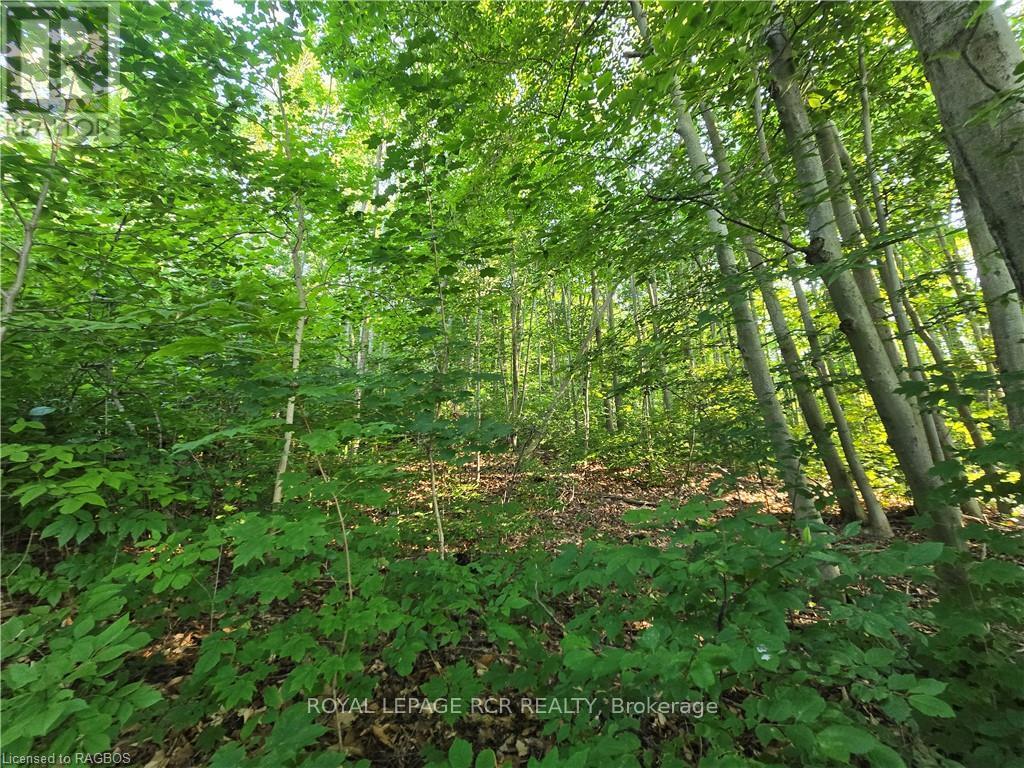 130 Old Highway 26 Property Photo 6