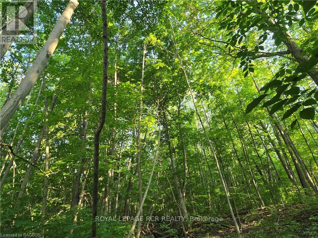 130 Old Highway 26 Property Photo 8
