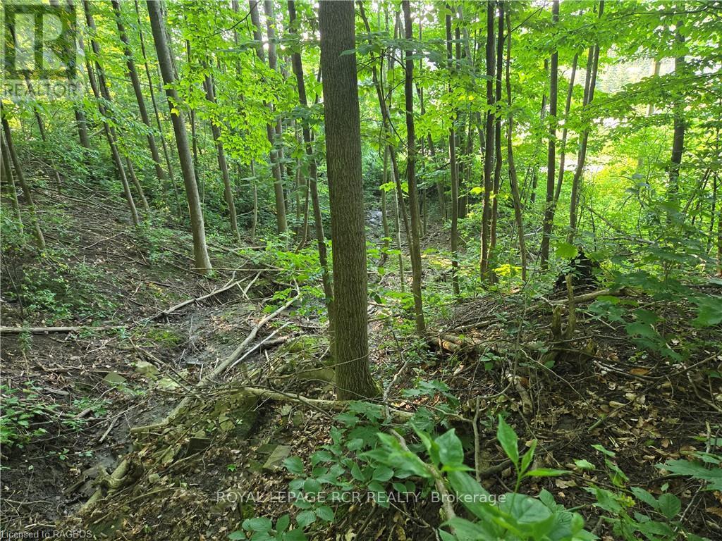 130 Old Highway 26 Property Photo 10