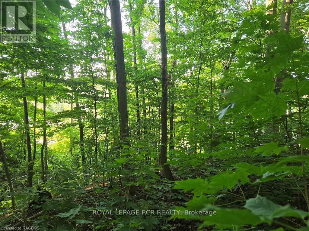 130 Old Highway 26 Property Photo 11