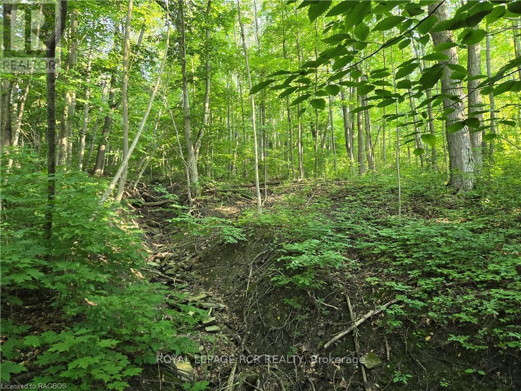 130 Old Highway 26 Property Photo 13