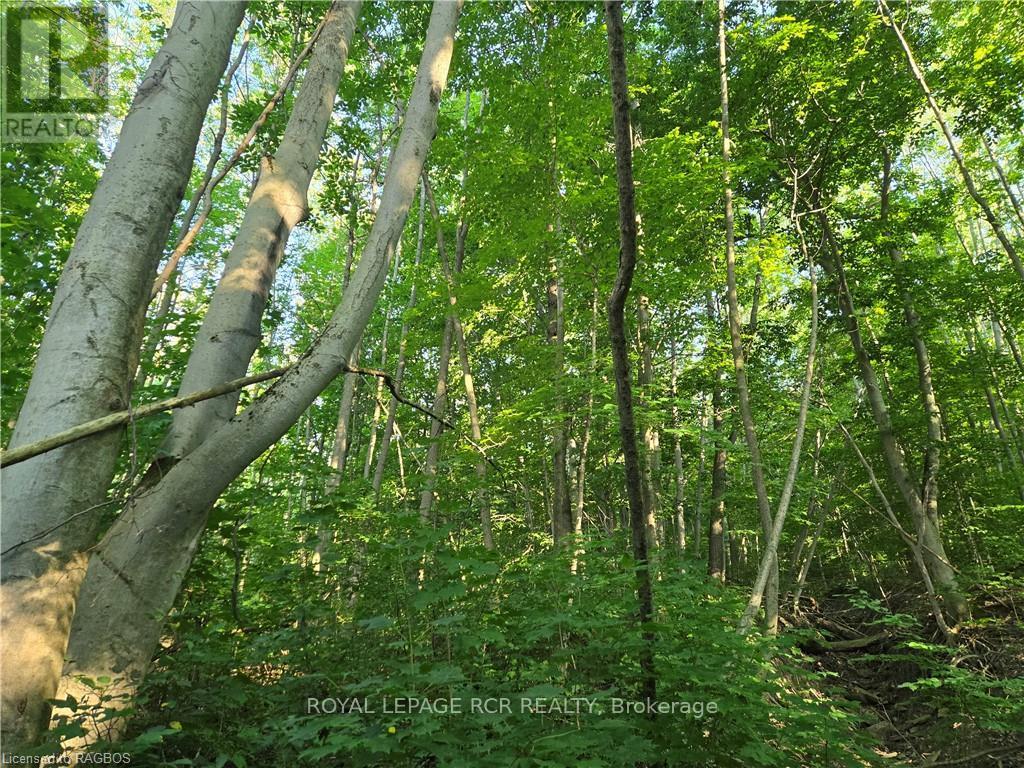 130 Old Highway 26 Property Photo 14