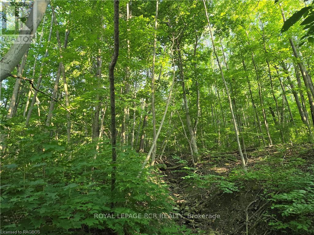 130 Old Highway 26 Property Photo 15