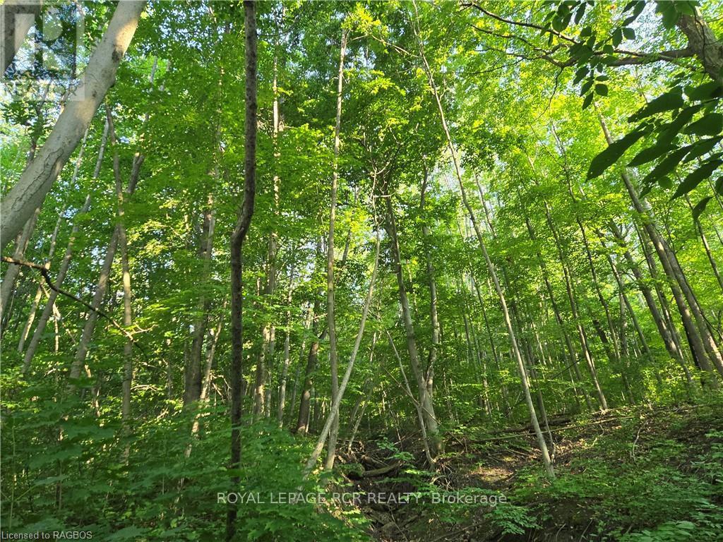 130 Old Highway 26 Property Photo 16