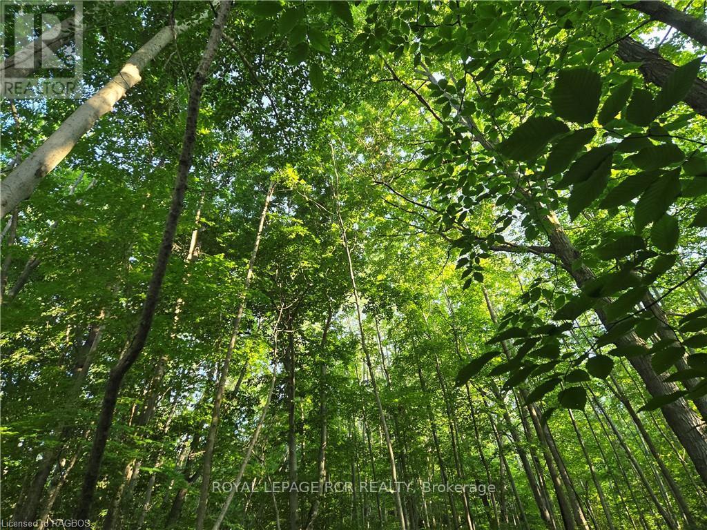 130 Old Highway 26 Property Photo 17