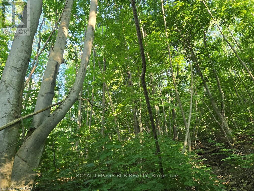 130 Old Highway 26 Property Photo 18