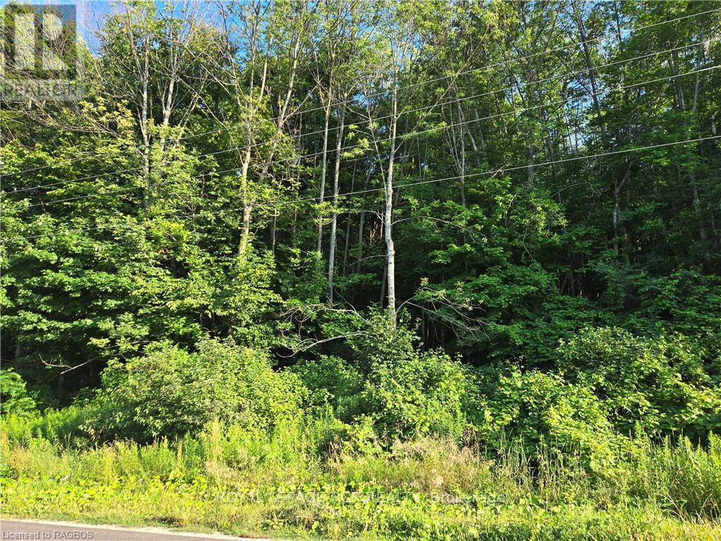 130 Old Highway 26 Property Photo 19