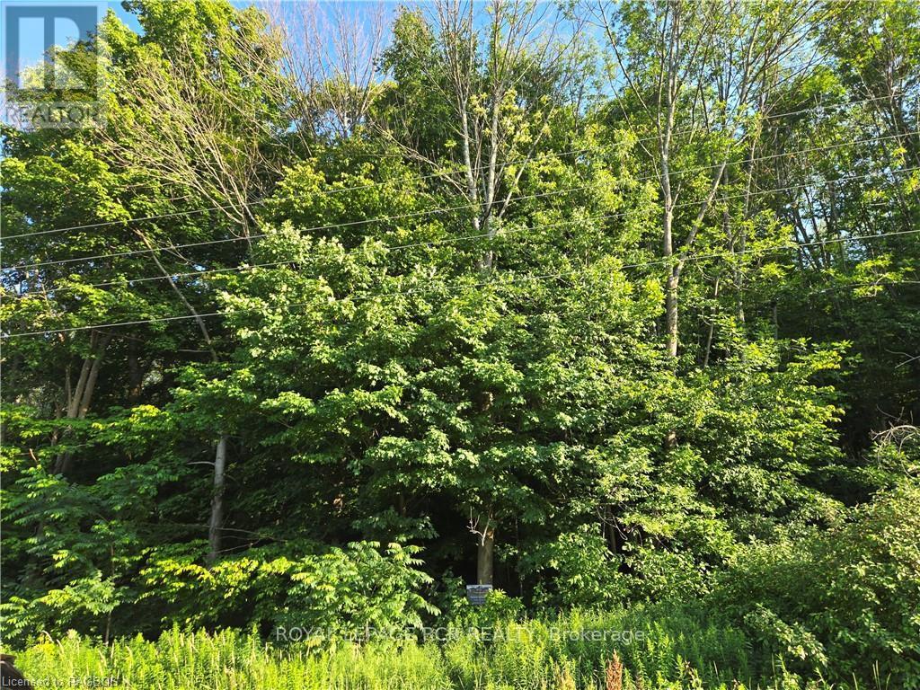 130 Old Highway 26 Property Photo 21