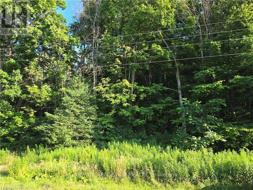 130 Old Highway 26 Property Photo 22