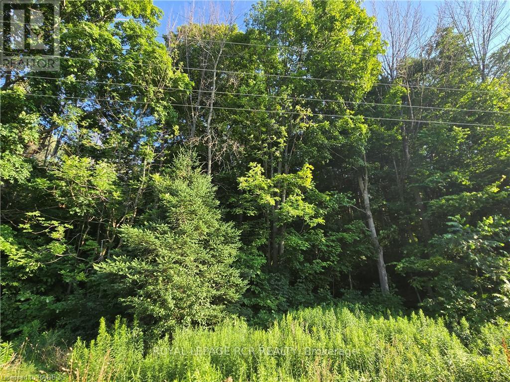 130 Old Highway 26 Property Photo 23