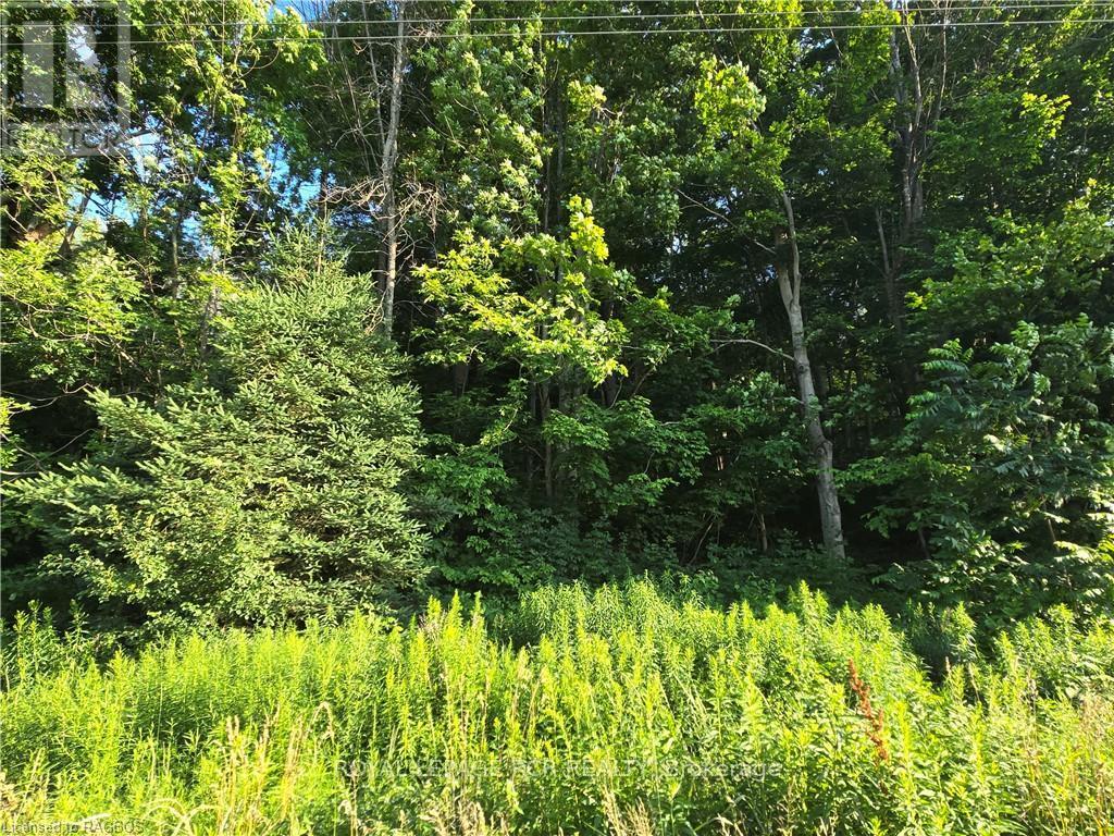 130 Old Highway 26 Property Photo 24
