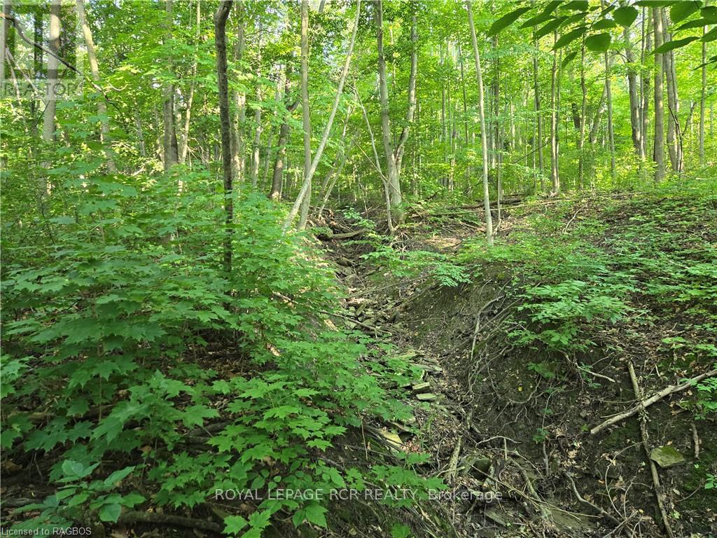 130 Old Highway 26 Property Photo 25