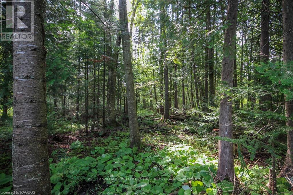 173680 Mulock Road Property Photo 38