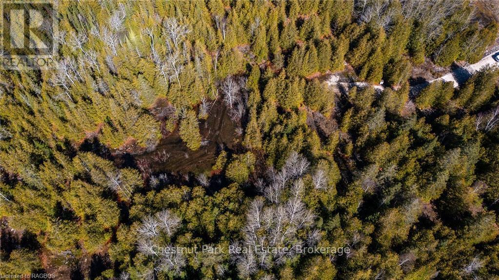 4693 Highway 6 Property Photo 10