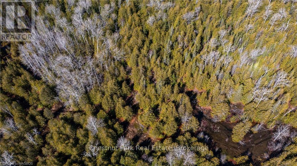 4693 Highway 6 Property Photo 11