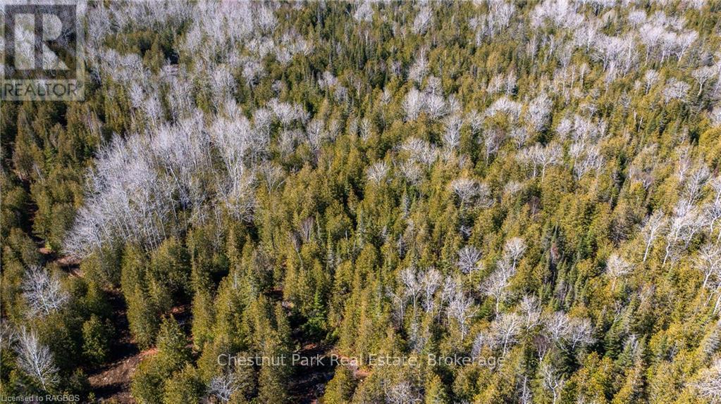 4693 Highway 6 Property Photo 16