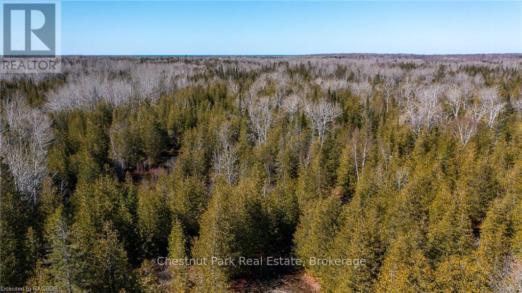4693 Highway 6 Property Photo 17