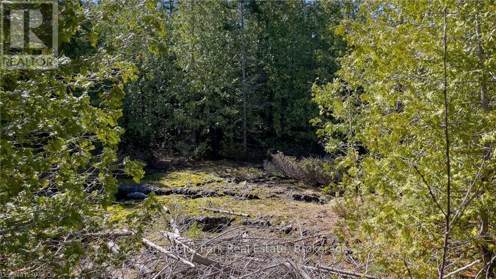 4693 Highway 6 Property Photo 23