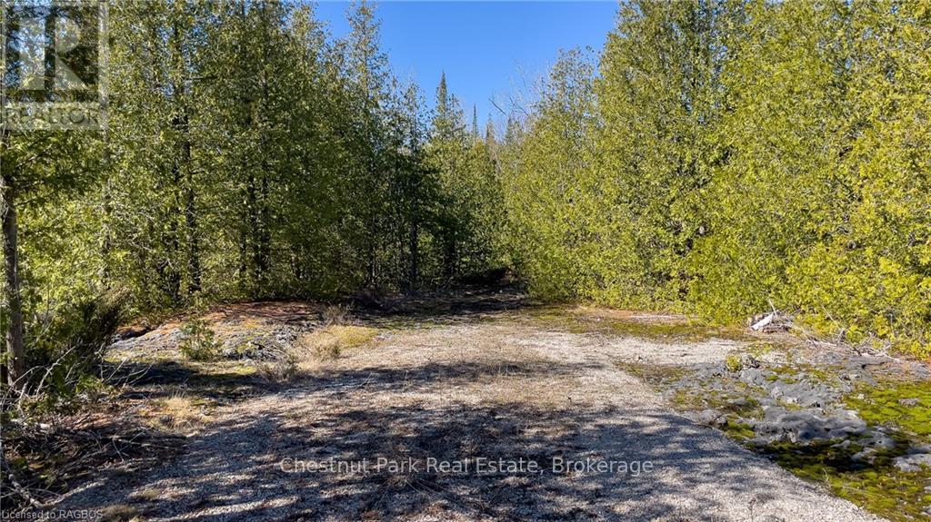 4693 Highway 6 Property Photo 25