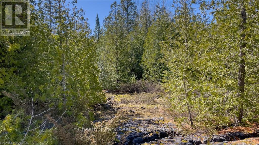 4693 Highway 6 Property Photo 26