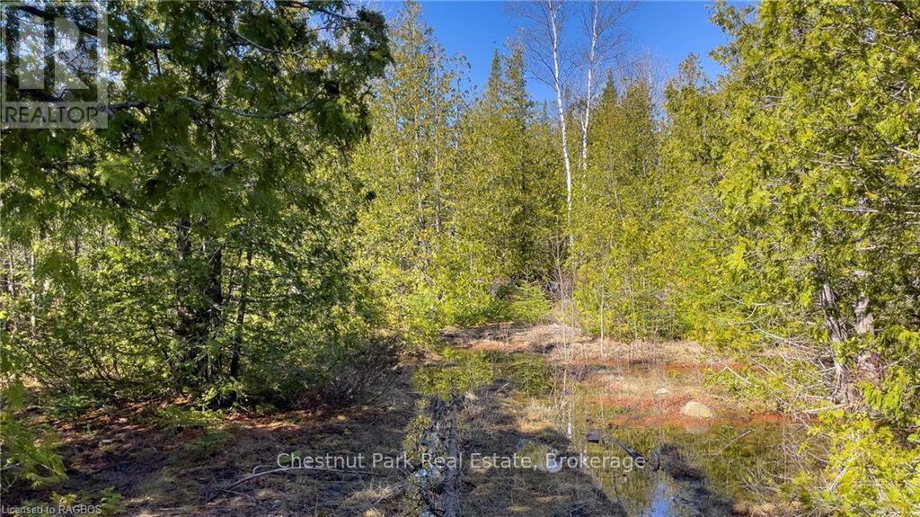 4693 Highway 6 Property Photo 27