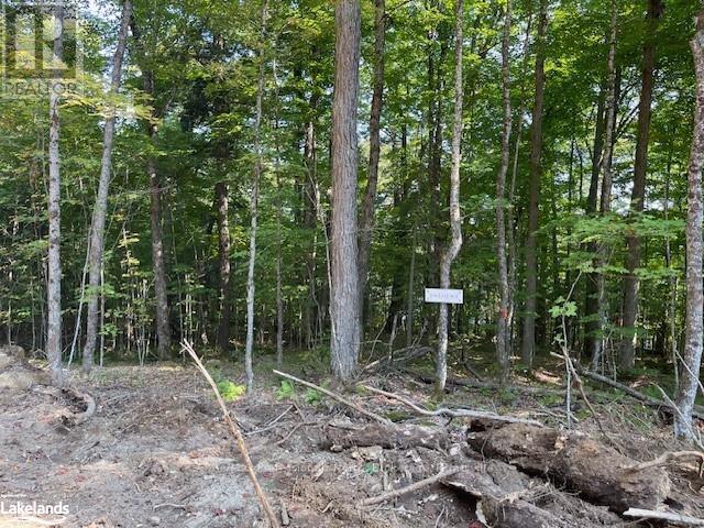 1448-1 West Oxbow Lake Road Property Photo 5