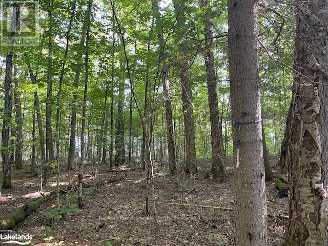 1448-1 West Oxbow Lake Road Property Photo 7