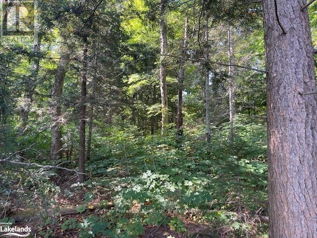 1448-2 West Oxbow Lake Road Property Photo 10