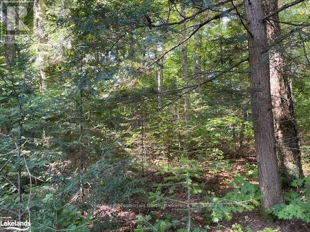 1448-2 West Oxbow Lake Road Property Photo 11
