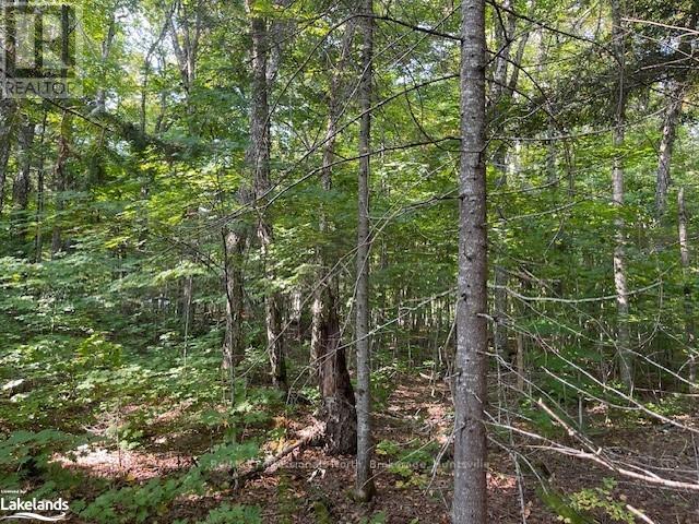 1448-2 West Oxbow Lake Road Property Photo 12