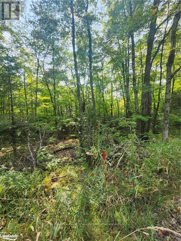0 South Horn Lake Road Property Photo 3