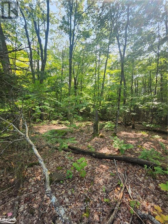 0 South Horn Lake Road Property Photo 6