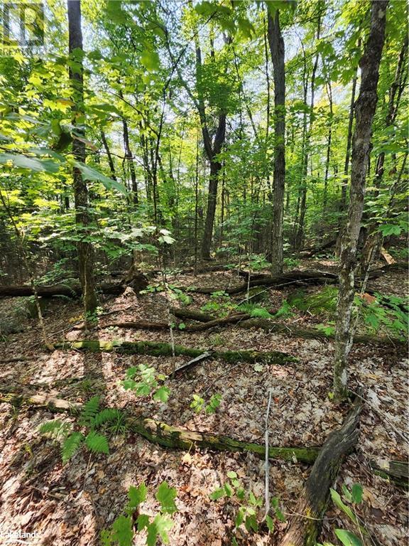 0 South Horn Lake Road Property Photo 9