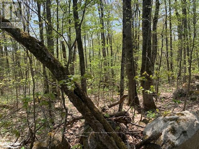 2376 South Horn Lake Road Property Photo 2