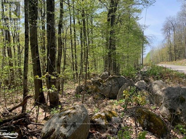2376 South Horn Lake Road Property Photo 3
