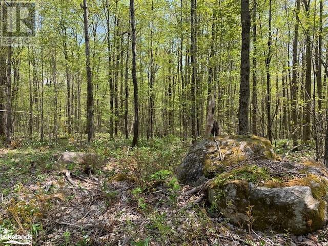 2376 South Horn Lake Road Property Photo 7