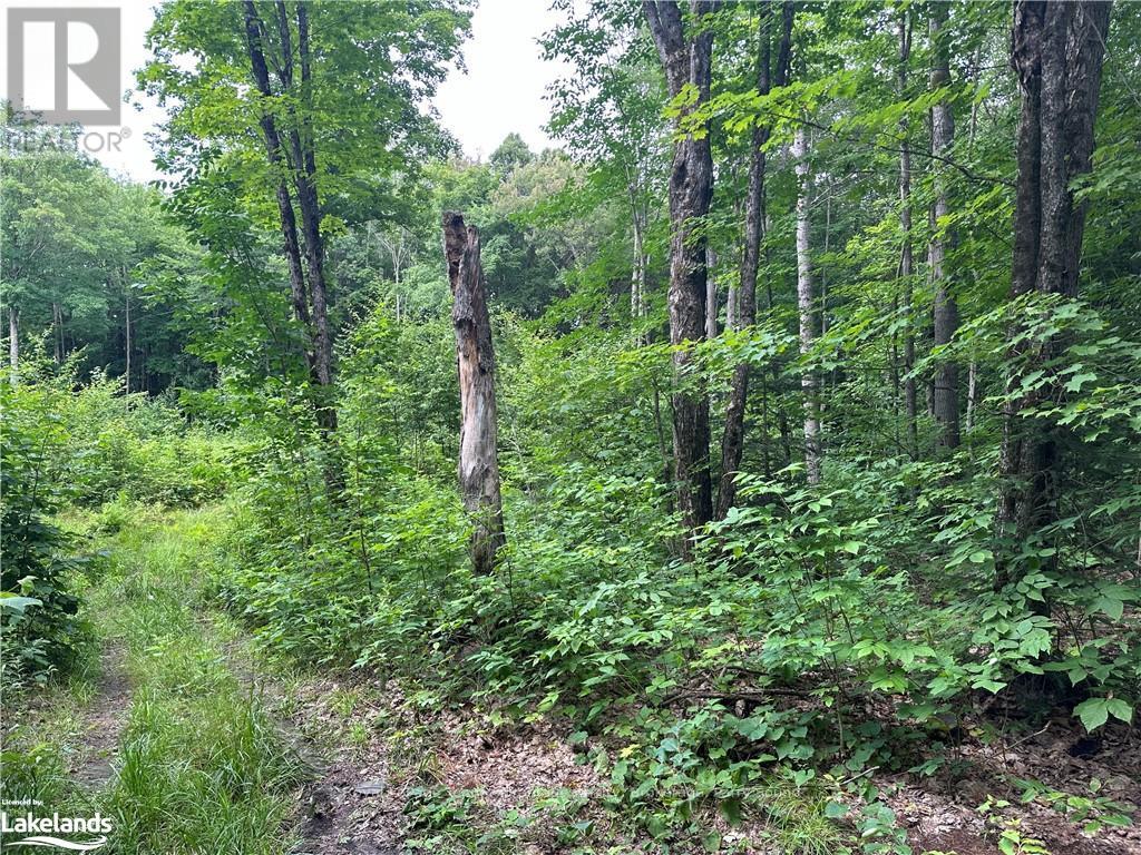 54 Woods Road Property Photo 10