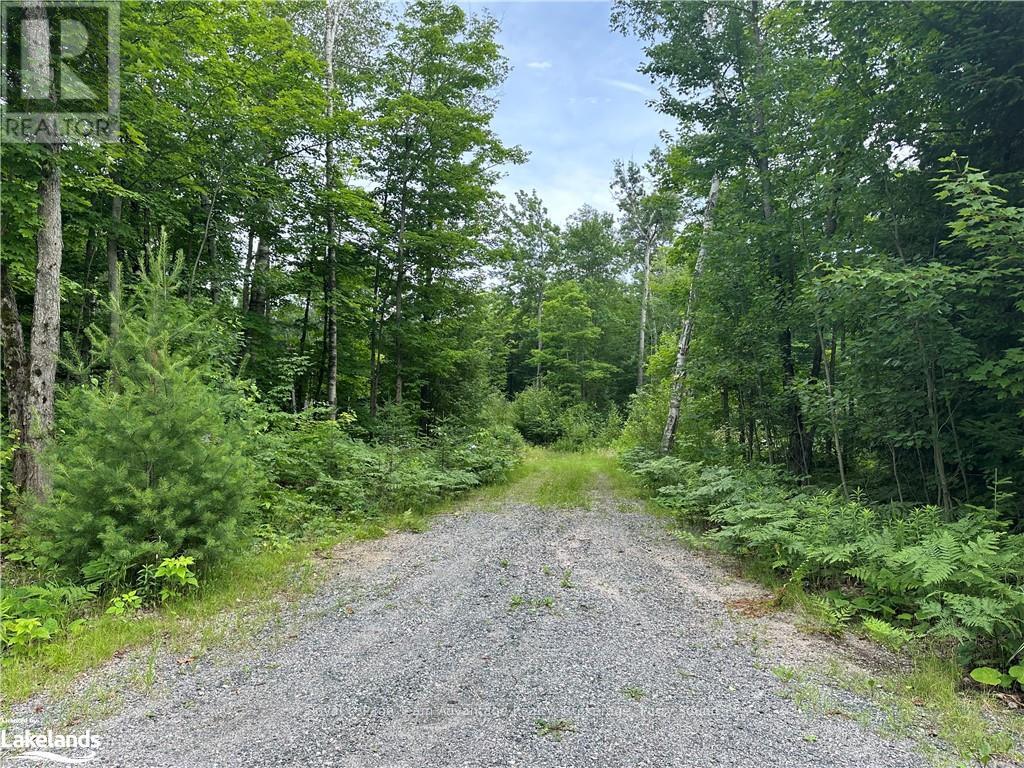 54 Woods Road Property Photo 14