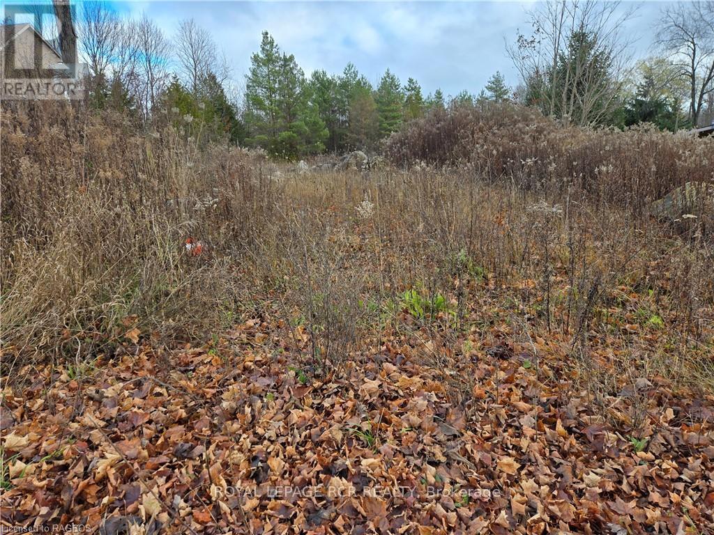 Ptlt8es Salter Street Property Photo 12